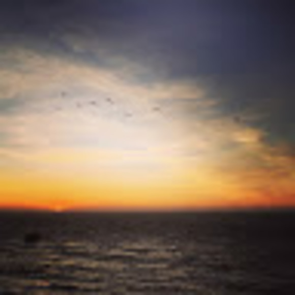 Meet your Posher, Lisa - Picture 1 of 1